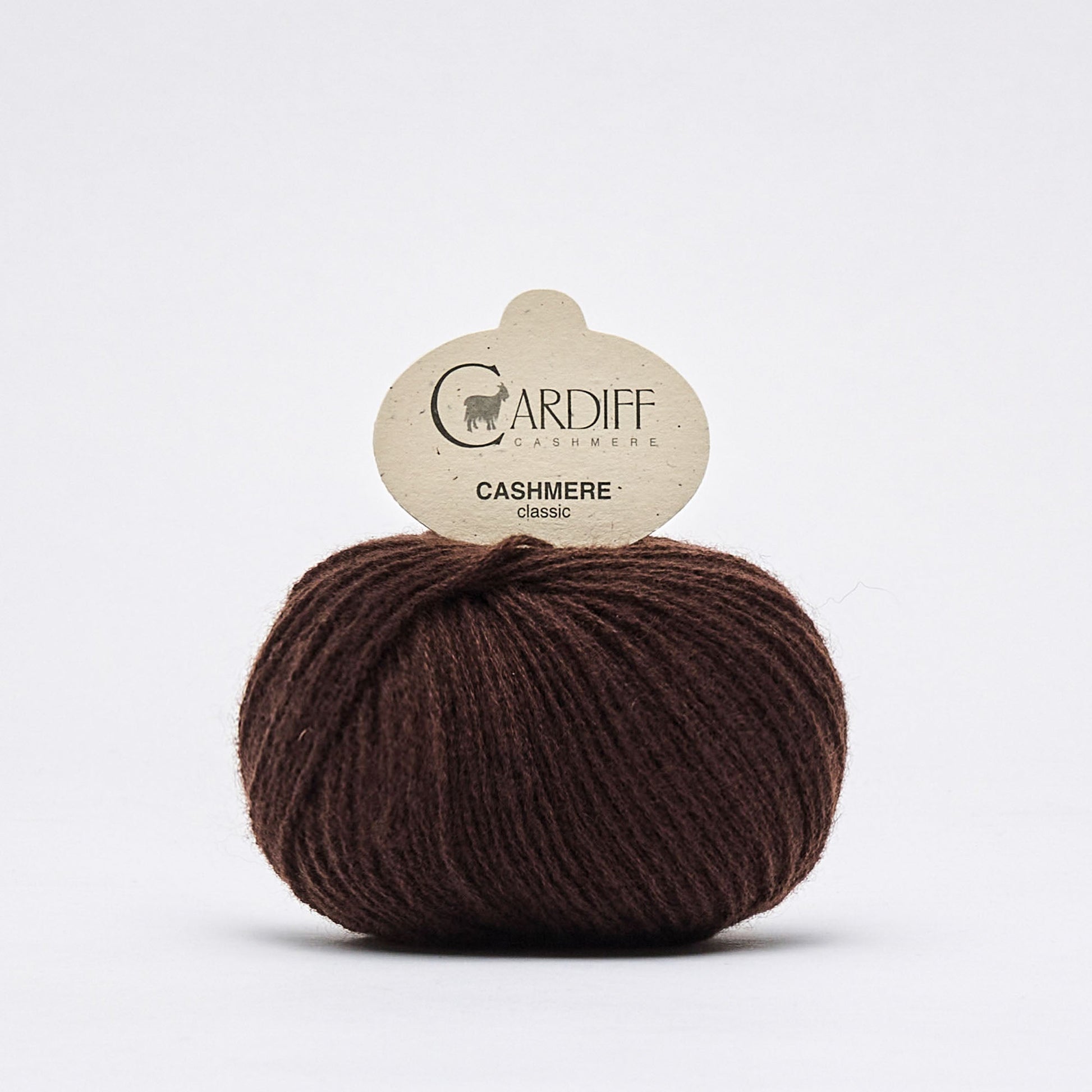 Cardiff CLASSIC, 643 CACAO,